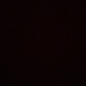 Meet your Posher, Riley